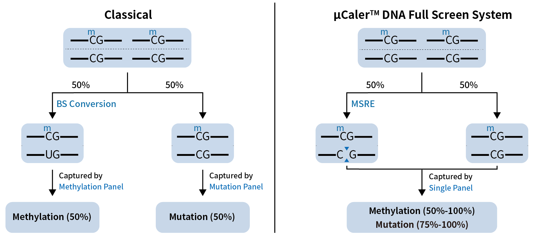 fig.6