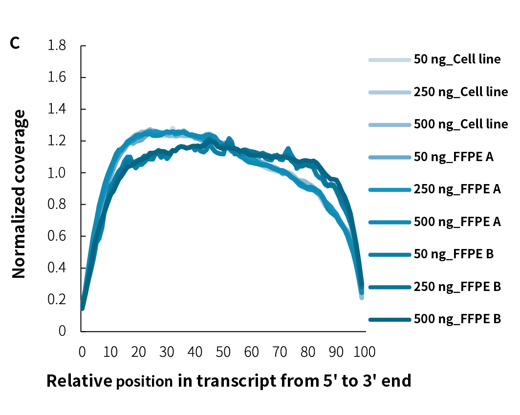 fig1C