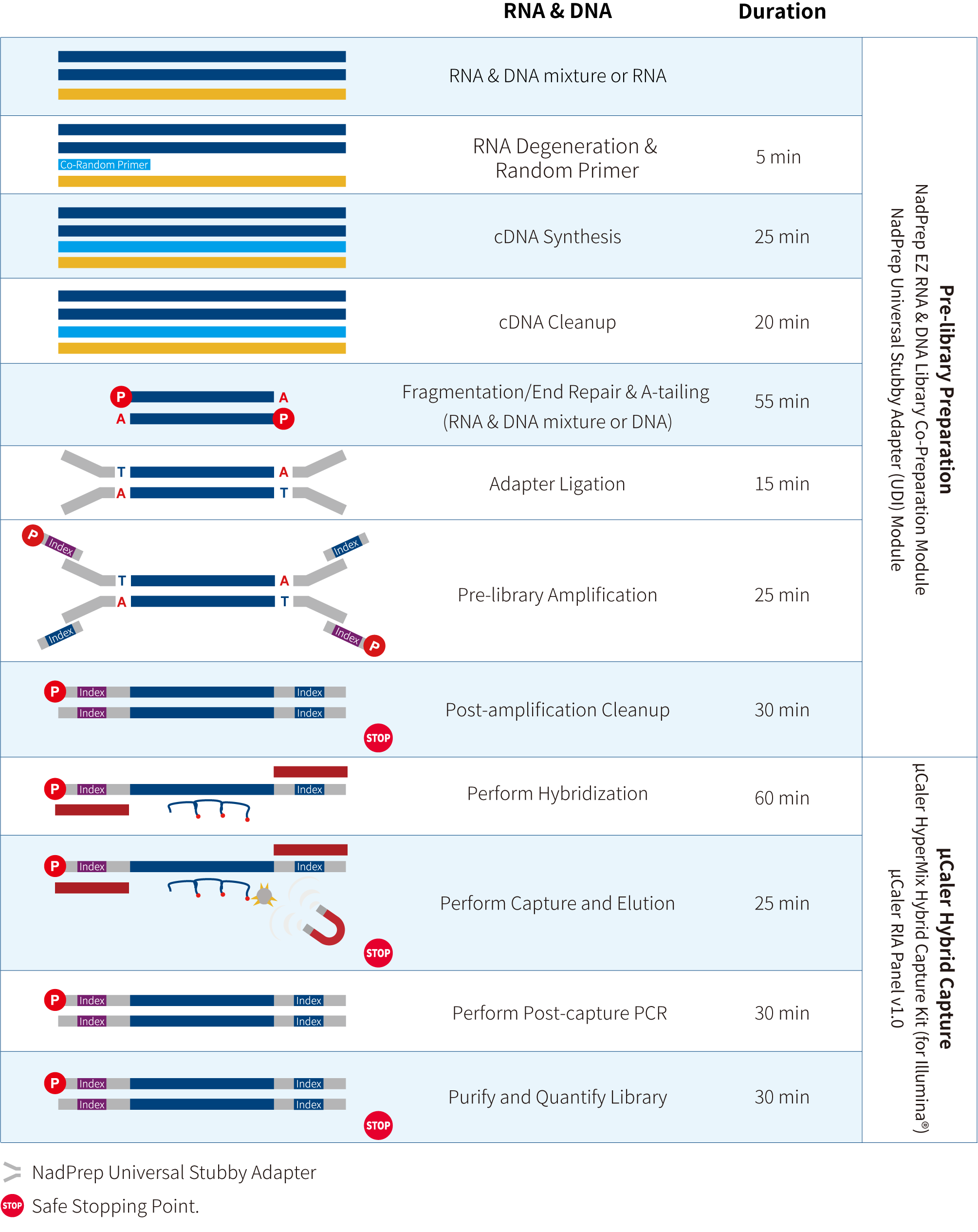 workflow_EN-20260329 workflow_EN-20260329