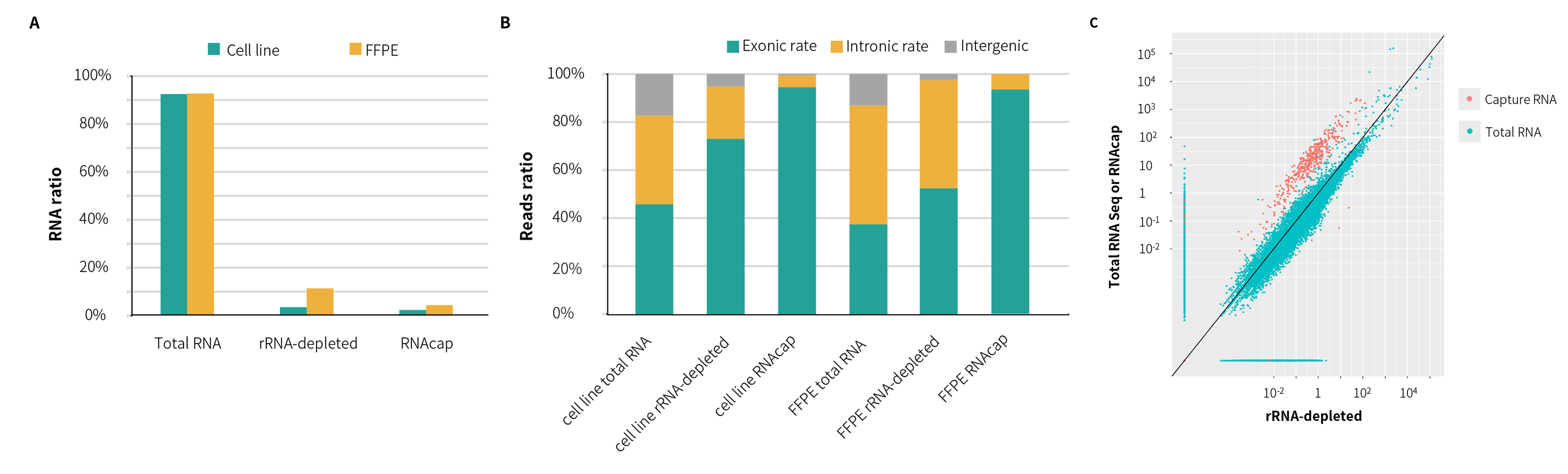 RNA TO DNA Module Pic2 RNA TO DNA Module Pic2