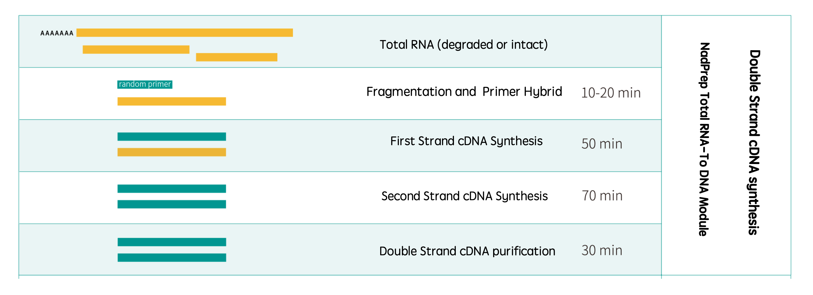 Workflow-RNA to DNA Module Workflow-RNA to DNA Module