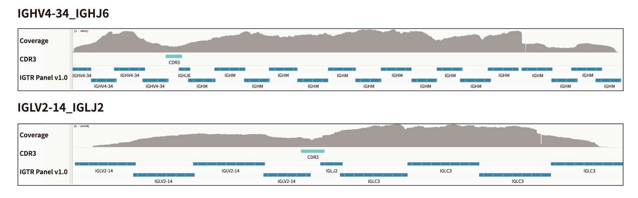 未标题-1-05 未标题-1-05